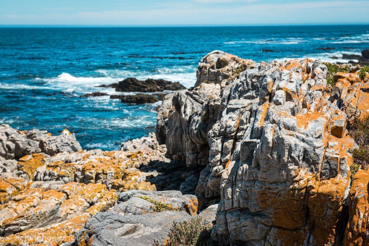 Schulphoek Seafront House Hermanus Εξωτερικό φωτογραφία The coast of the park