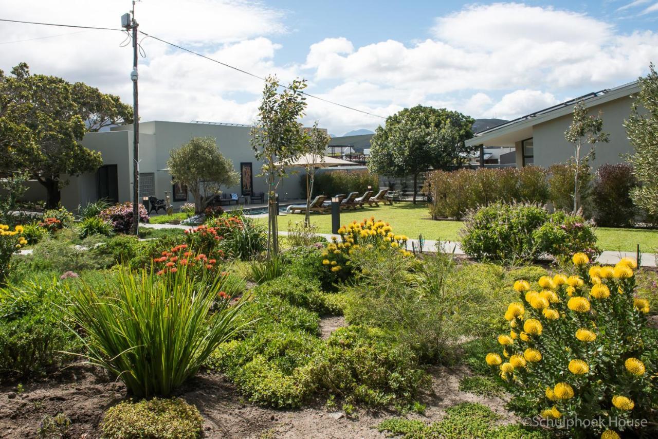 Schulphoek Seafront House Hermanus Εξωτερικό φωτογραφία The courtyard at the school